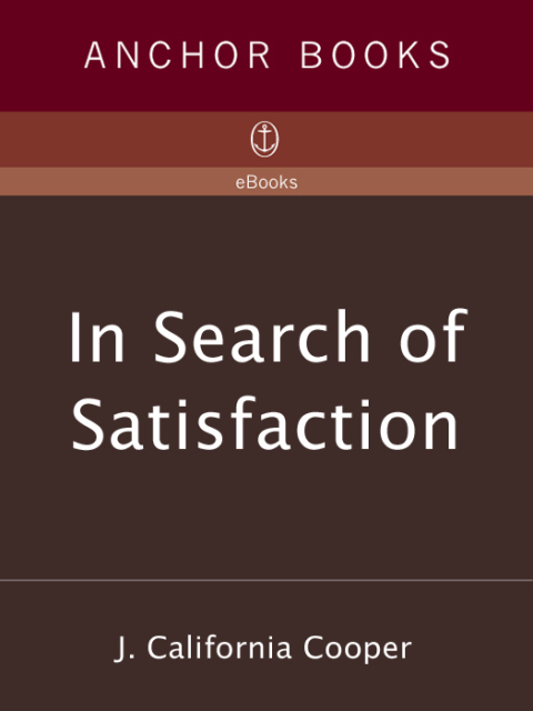 Cover image for book In Search of Satisfaction