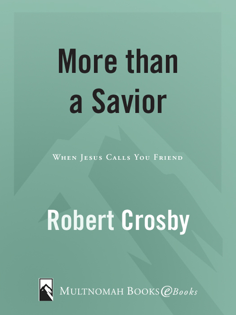 Cover image for book More than a Savior