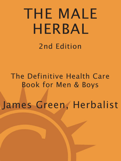 Cover image for book The Male Herbal