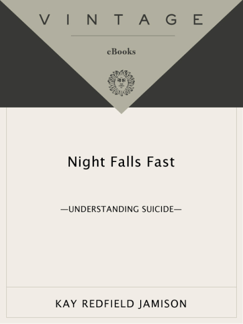 Cover image for book Night Falls Fast