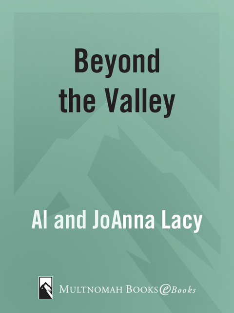 Cover image for book Beyond the Valley