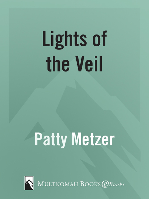 Cover image for book Lights of the Veil
