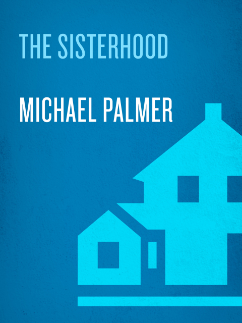 Cover image for book The Sisterhood