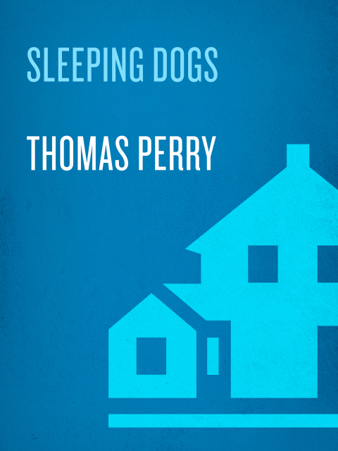 Cover image for book Sleeping Dogs
