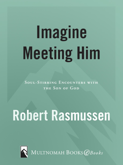 Cover image for book Imagine Meeting Him