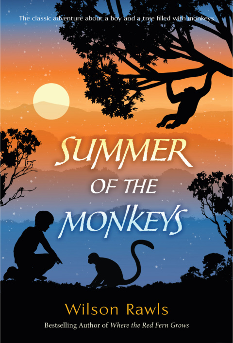 Cover image for book Summer of the Monkeys