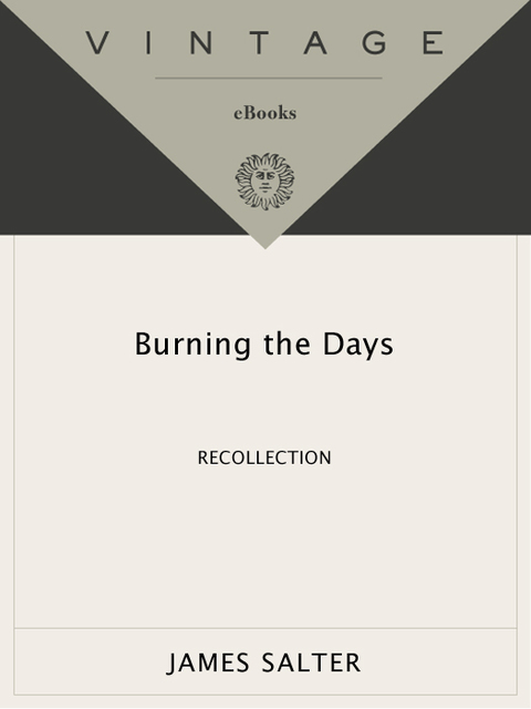 Cover image for book Burning the Days