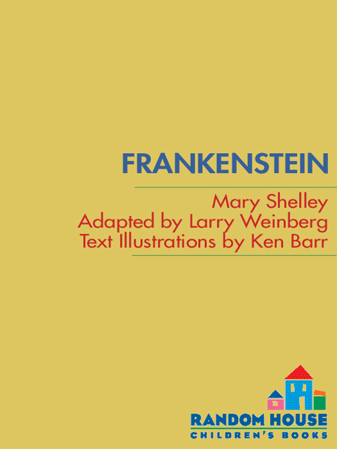 Cover image for book Frankenstein