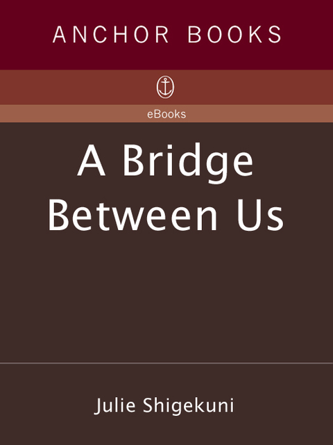 Cover image for book A Bridge Between Us