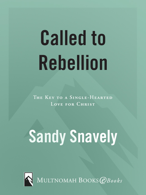 Cover image for book Called to Rebellion