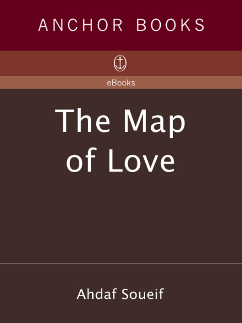 Cover image for book The Map of Love