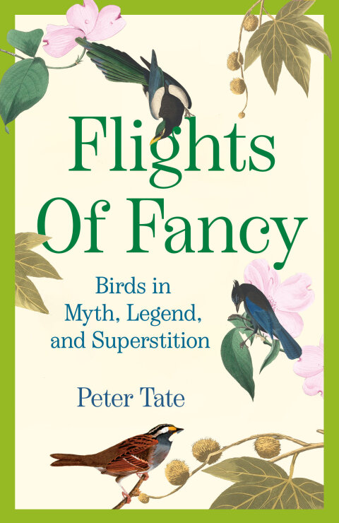 Cover image for book Flights of Fancy