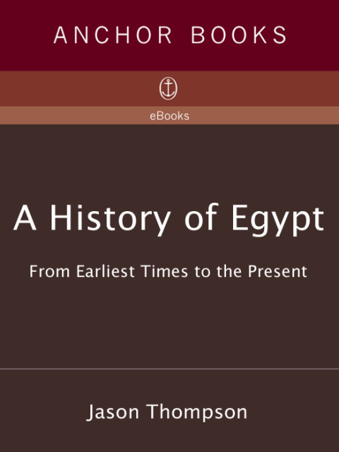 Cover image for book A History of Egypt
