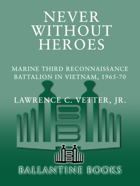 Cover image for book Never Without Heroes