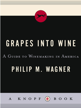 Grapes into Wine