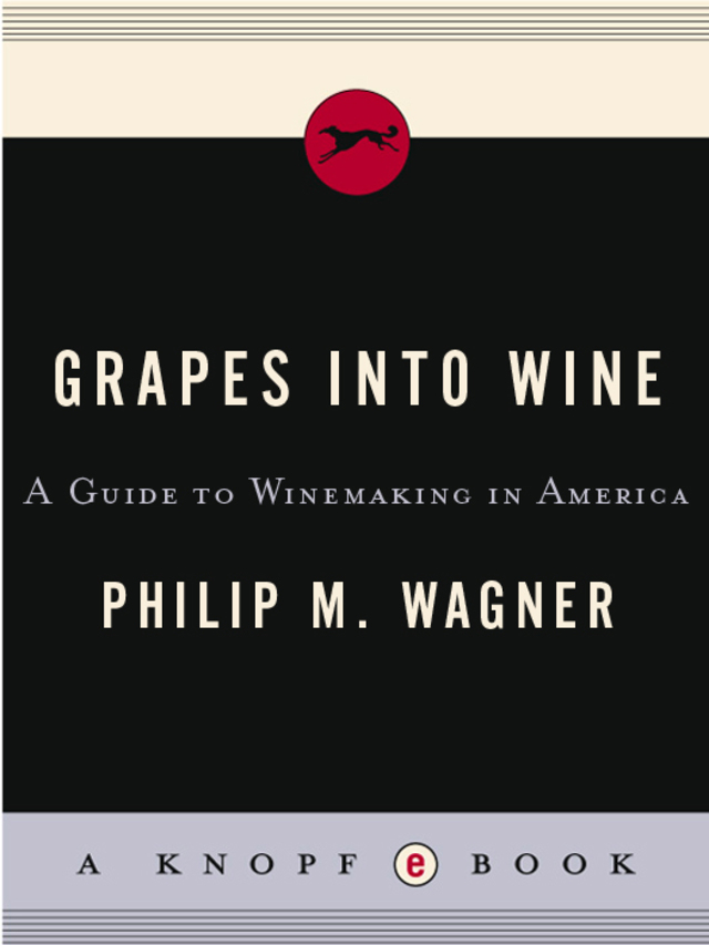 Grapes into Wine