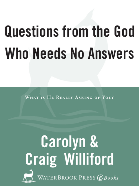 Cover image for book Questions from the God Who Needs No Answers