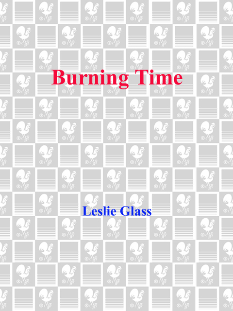Cover image for book Burning Time