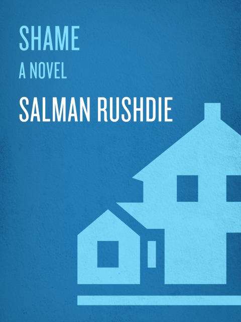 Cover image for book Shame