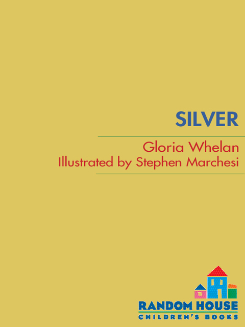 Cover image for book Silver