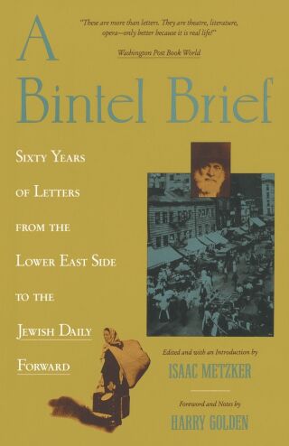 A Bintel Brief