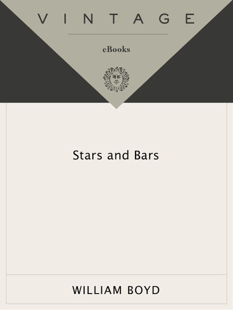 Cover image for book Stars and Bars