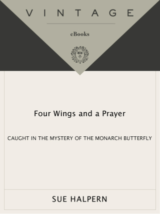 Four Wings and a Prayer