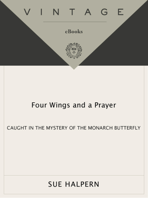 Cover image for book Four Wings and a Prayer