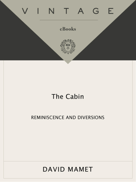 Cover image for book The Cabin