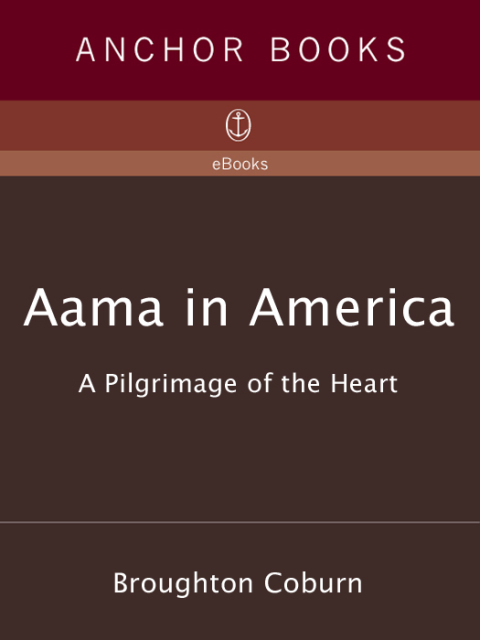 Cover image for book Aama in America