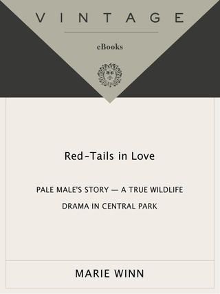 Red-Tails in Love