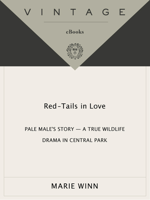 Cover image for book Red-Tails in Love