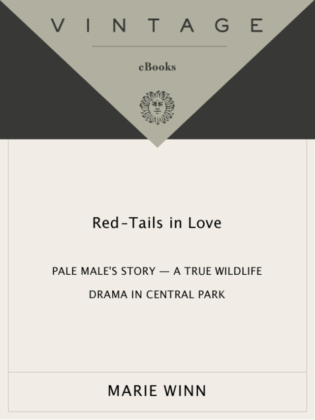 Red-Tails in Love