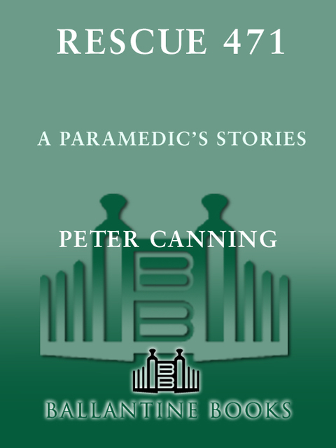 Cover image for book Rescue 471
