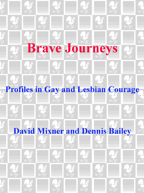 Cover image for book Brave Journeys