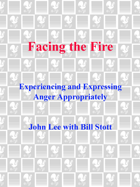 Cover image for book Facing the Fire