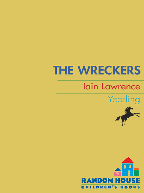 Cover image for book The Wreckers