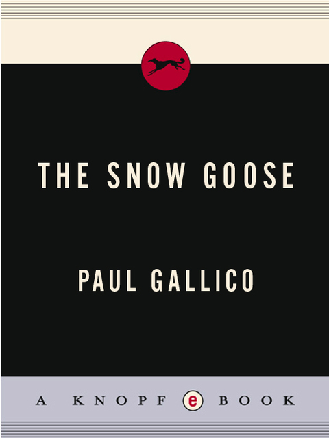 Cover image for book Snow Goose