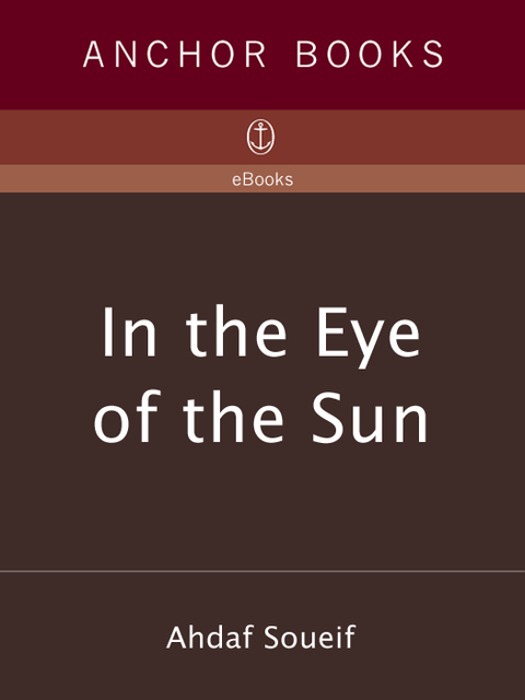 Cover image for book In the Eye of the Sun