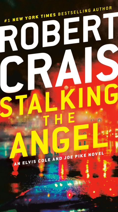 Cover image for book Stalking the Angel