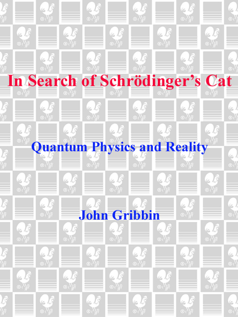 Cover image for book In Search of Schrodinger's Cat