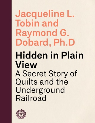 Hidden in Plain View
