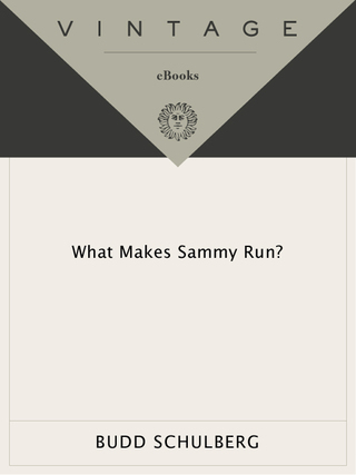 What Makes Sammy Run?