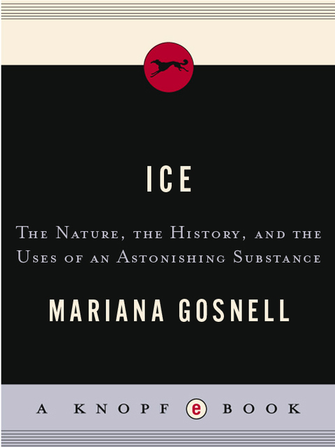 Cover image for book Ice