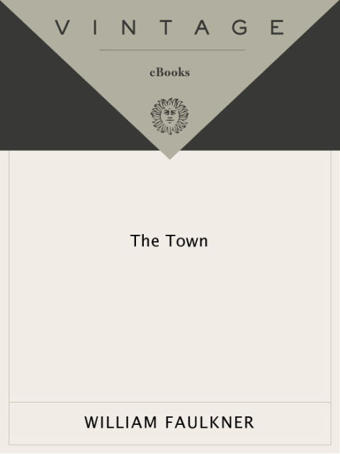 Cover image for book The Town