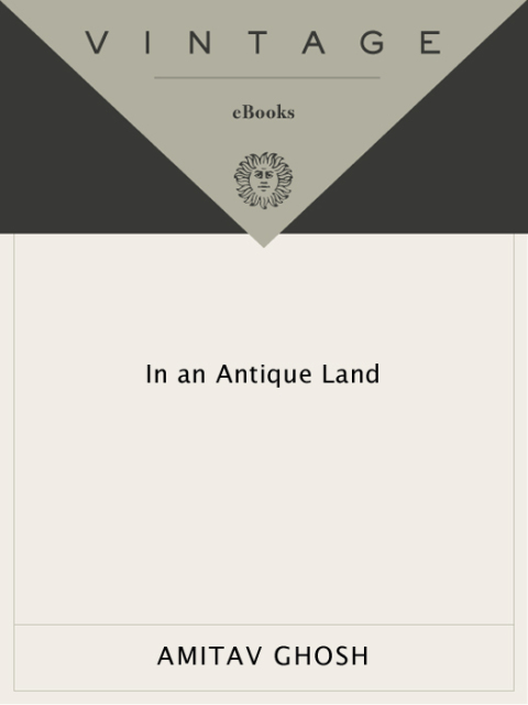 Cover image for book In an Antique Land