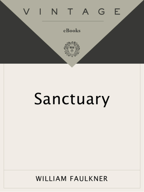 Cover image for book Sanctuary
