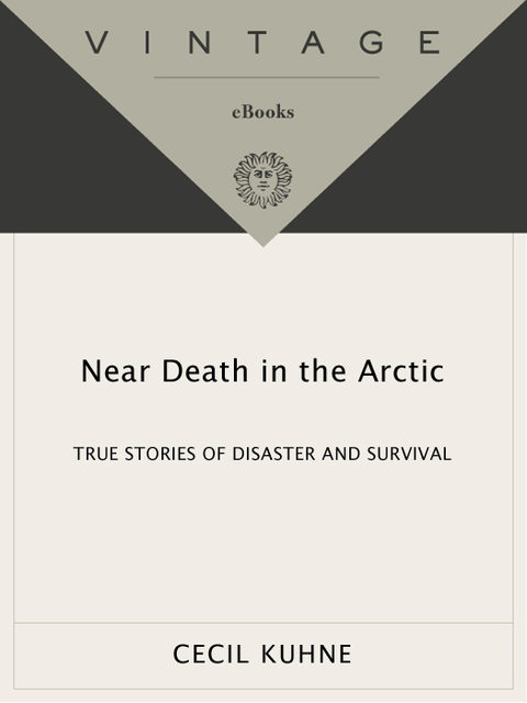 Cover image for book Near Death in the Arctic
