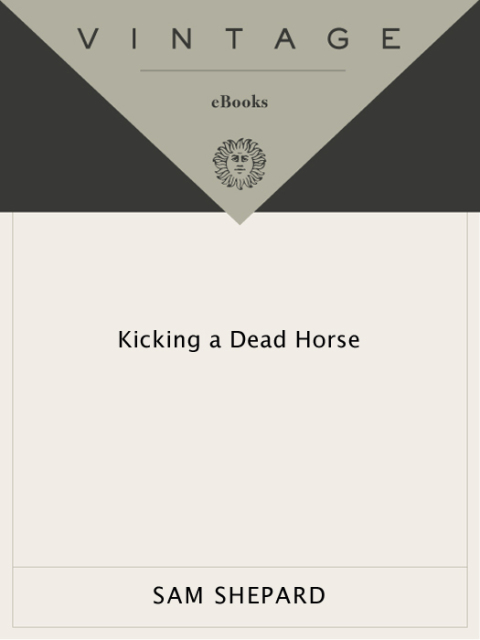 Cover image for book Kicking a Dead Horse