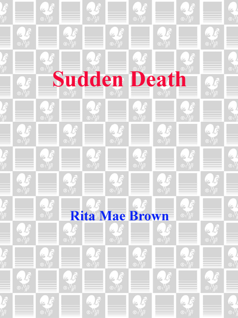 Cover image for book Sudden Death